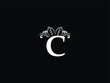 Letter C logo, Feminine c cc Leaf logo Icon Design For Business
