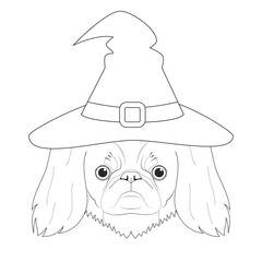 Wall Mural - Halloween greeting card for coloring. Pekingese dog dressed as a witch with black hat