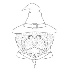 Wall Mural - Halloween greeting card for coloring. Spanish Water dog dressed as a witch or a wizard with glasses, black hat and black robe