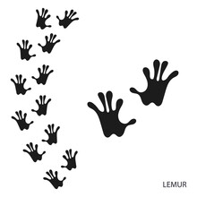 Paw Prints, Animal Tracks, Lemur Footprints Pattern. Icon And Track Of Footprints. Black Silhouette. Vector