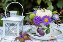 Florales Arrangement Mit Weißem Kürbis Baby Boo Und Lila Asterblüten In Einer Tasse Und Einer Laterne