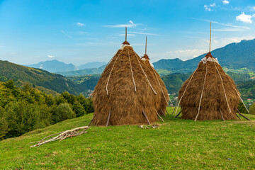 Wall Mural - Rural idyllic landscape of the small villages in the Rucar-Bran mountain area, Brasov, Romania, scattered on the wooded hills, with the Bucegi mountains in the background, in wonderful springtime day