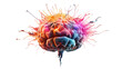 Colorful brain, concept of creativity and art