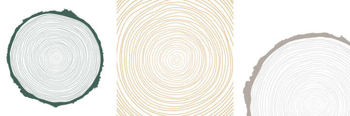 Vector illustration of a hand-drawn, wavy concentric tree ring pattern with an editable stroke, created from a sliced tree trunk with a ripple ring line pattern shape in organic wood