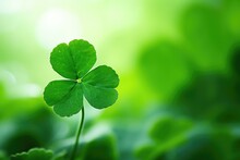 Close-up Of A Rare Four-leaf Clover Against A Blurred Green Background