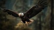 © Irfanan - Majestic bald eagle soaring through the sky with grace and power