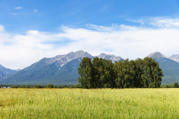 Wall Mural - scenic rural landscape with yellowed oat field in foothill valley against backdrop of eastern sayan 
