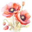 Watercolor poppy . Generative Ai