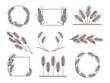 Hand drawn wheat decor. Ear of wheat frame, harvest border and divider. Wheat wreaths vector illustration set