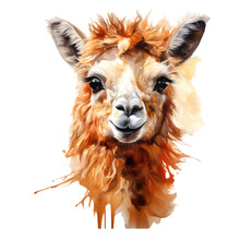 Alpaca Looks Surprised With Big Eyes Isolated On Transparent Backgrounds . Generative AI