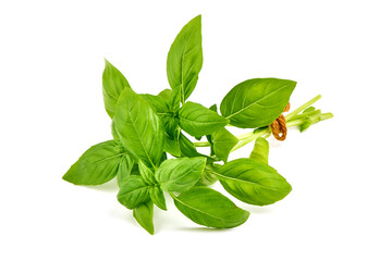 Wall Mural - Basil leaves, isolated on white background.