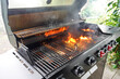 © andov - The fire of a gas grill cooks off the fat on the grill grate to cook the meat.