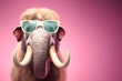 © Sandra Chia - Creative animal concept. Mammoth in sunglass shade glasses isolated on solid pastel background, commercial, editorial advertisement, surreal surrealism