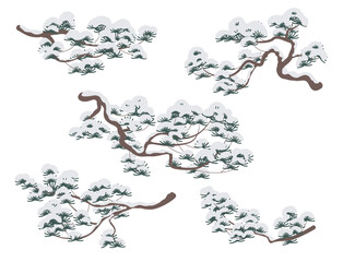 Wall Mural - Snow Covered Pine Tree Branches Isolated on White