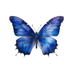 Wall Mural - Beautiful dark blue butterfly isolated on white background in watercolor style.