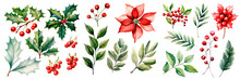 Set Of Watercolor Christmas Poinsettia And Leaves, Isolated On Transparent Background
