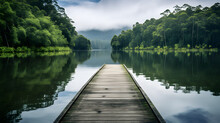 Mesmerizing Wooden Jetty Extending Into Serene Rainforest Lake Covered With Water Lillies.