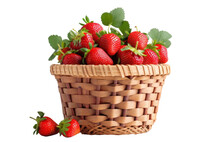 a lot of ripe strawberries in a wicker basket, png file of isolated cutout object on transparent background.