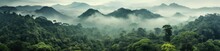 Jungle And Mountains Natural Background