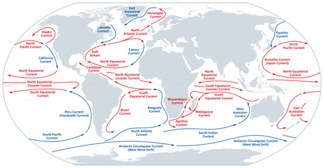 World map of major ocean currents. Continuous, directed movement of seawater generated by forces acting upon the water, like wind, temperature, etc. Warm currents shown in red, cold currents in blue.