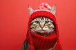 Leinwandbild Motiv Cat wearing a Winter Scarf and Hat on a Red Background with Space for Copy