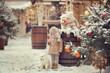 Boy and girl in beige winter clothes on Christmas fair with two samoyed dogs