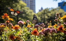Butterflies Flying Over Colorful Blooming Flowers In An Urban Park, Demonstrating The Importance Of Providing Habitat For Local Wildlife In The Cityscape	