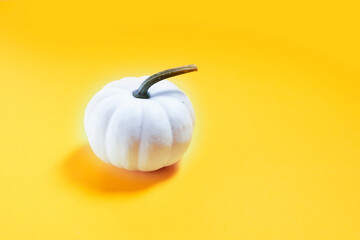 Wall Mural - One white pumpkin on orange background with copy space