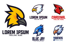 Bird Head Logos For Sport And Esport Teams. Logo Icon Badge Emblem Set Of Blue Bird, Yellow Bird, Red Bird, Hawk, Falcon, Eagle Animals Logo Template. Blue Jay, Cardinal And More Birds.
