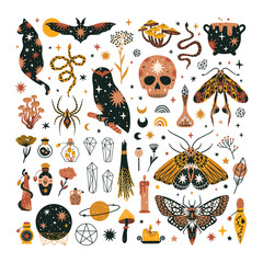 Wall Mural - Set of magical animals and witchcraft design elements. Mystical themed hand drawn vector illustrations.
