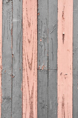 Wall Mural - Texture of a wooden surface