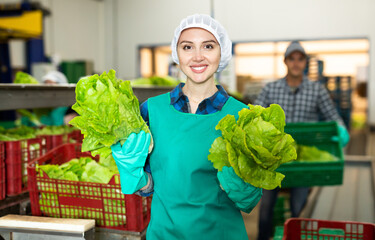 Female smiling worker standing with fresh lettuce in her hands