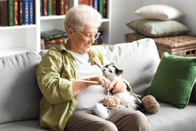 Senior Woman With Cute Cat And Knitting Needles Resting At Home