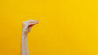 © golubovy - Hand theater. News advertisement. Female woman arm mouth gesture talking fun performance introducing sensation isolated on yellow background empty space.