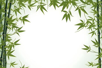  Bamboo with leaves frame background.