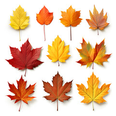 Wall Mural - a set of abstract autumn fallen leaves.