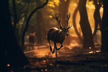 Dark Silhouette Image Of A Deer Running In A Jungle. 