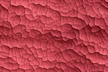 Pink Black Organic Micro Macro Architectural Interior Background Wall Texture Pattern Seamless