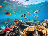 Fototapeta  - coral reef and fish