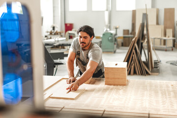 Wall Mural - Young man doing woodwork in carpentry factory