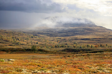 Wall Mural - Autumn in the Forollhogna national park, Norway