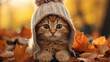 a cute little kitten is wearing a hat, posing in an autumn park among fallen yellow leaves, the background of the autumn calendar is a joke
