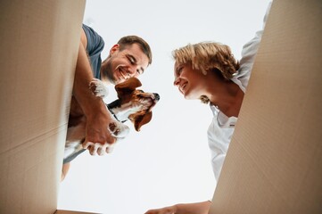 Holding dog and looking into a box. Young couple are moving to new home