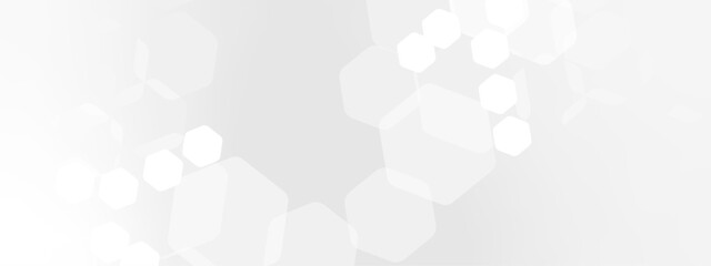 Fototapete - Abstract trendy technology of gradient white and gray hexagonal element pattern artwork design background. Use for ad, poster, presentation, print, artwork.