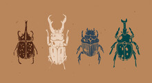 Set Of Various Beetles, Bugs Or Insects. Hand Drawn Modern Vector Illustration. Vintage, Engraving Style. Isolated Design Elements. Print, Logo, Poster Templates, Tattoo Idea