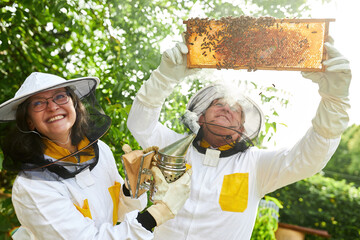 Wall Mural - Happy female and male apiarists examining honeycomb frame