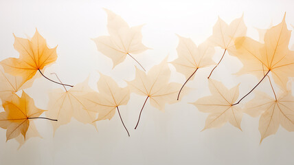 Wall Mural - white background with copy space yellow autumn leaves layer postcard.