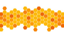 Yellow Bee Honeycomb Hexagon Seamless Pattern Border Geometric Abstract Background