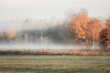 Fototapeta Niebo - Jesienne mgły