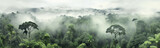 Fototapeta  - panorama of the rainforest tree tops in the fog.